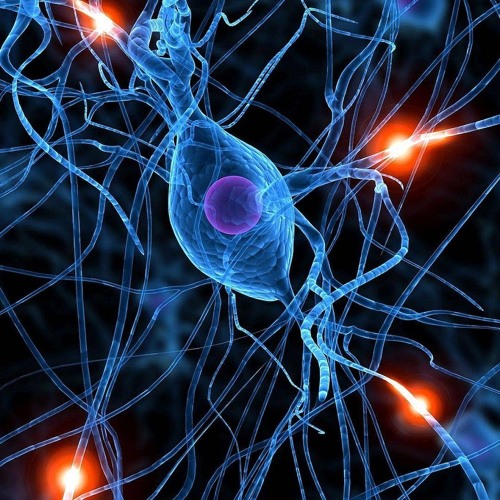 GrOmiNeT Corp - NeuroFlash/400mg