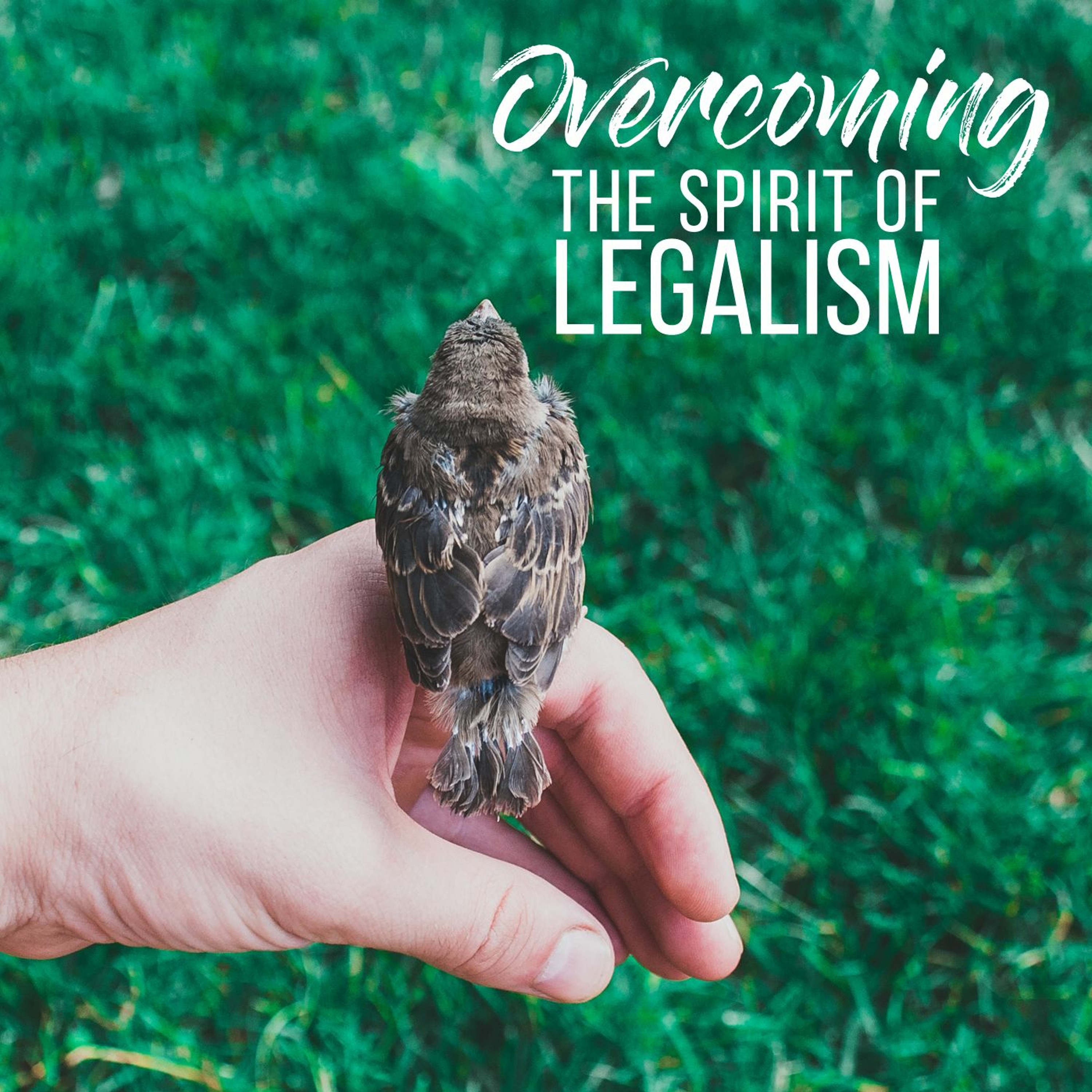 Overcoming the Spirit of Legalism episode artwork
