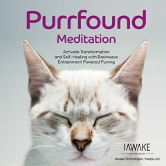 Purrfound Meditation - DEMO