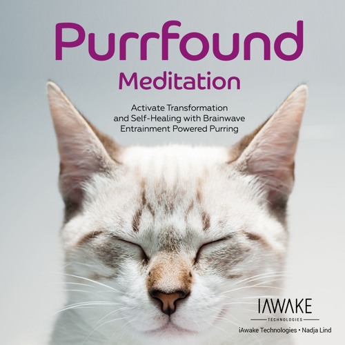 Purrfound Meditation - DEMO