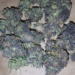 ERRBOdYSAYIMKOLD  AMG  SWIFTS, CHUNKS