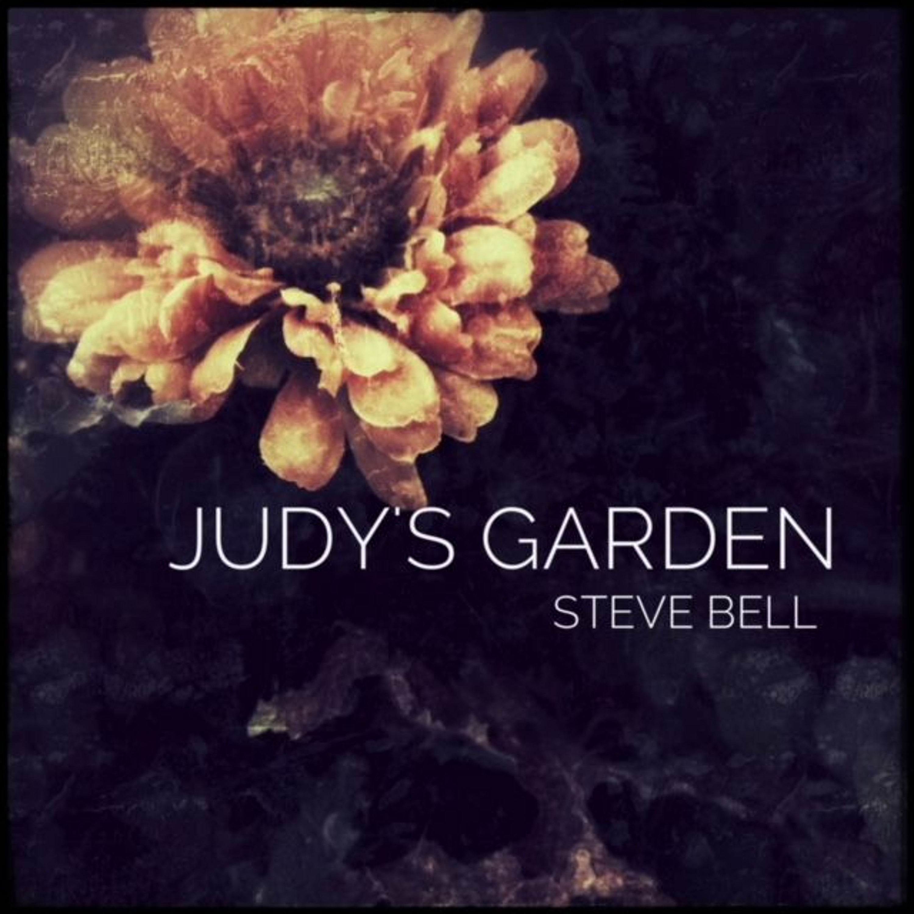 Judy's Garden episode artwork