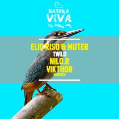 Elio Riso & Muter - Twilo (Vikthor Remix)[PREVIEW]