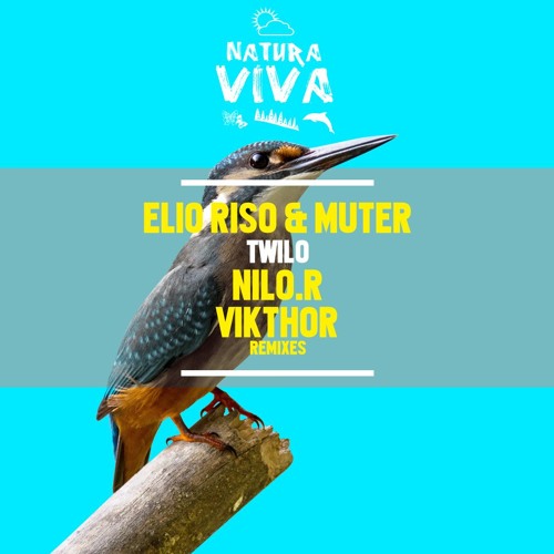 Elio Riso & Muter - Twilo (Vikthor Remix)[PREVIEW]