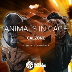 Animals in Cage - Moving Shadow