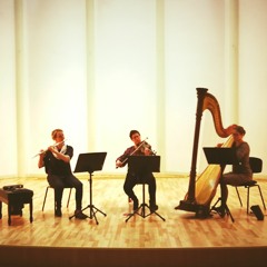 Trio for Flute, Harp & Viola