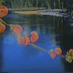 FREE 🌻 PLAYBOI CARTI X MAC DEMARCO X LIL WATERBED TYPE BEAT // "uluvme"