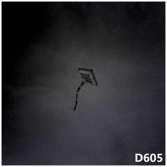 D605
