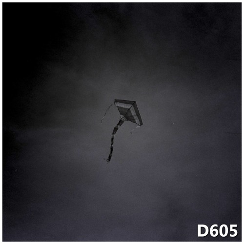 D605