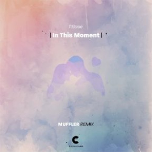 T Base - In This Moment (Muffler Remix)