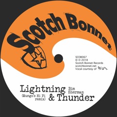 Bim Sherman - Lightning & Thunder(Mungo's Hi Fi Remix)