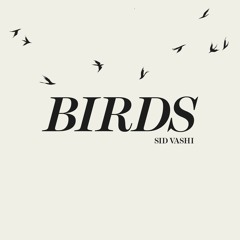 Birds | Sid Vashi