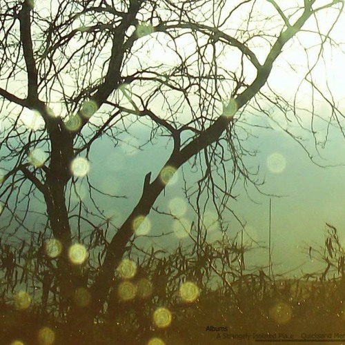 ulrich schnauss/molfsee
