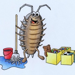 Kellerasselaufräumpolka - Demo (ingas Garten 2)