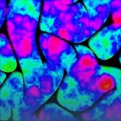 Terraπ - Lɪˈsɜːdʒɪk (...work in progress...)