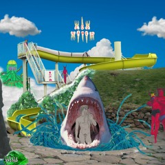 BBBLP001 F3 - Whippoorwills