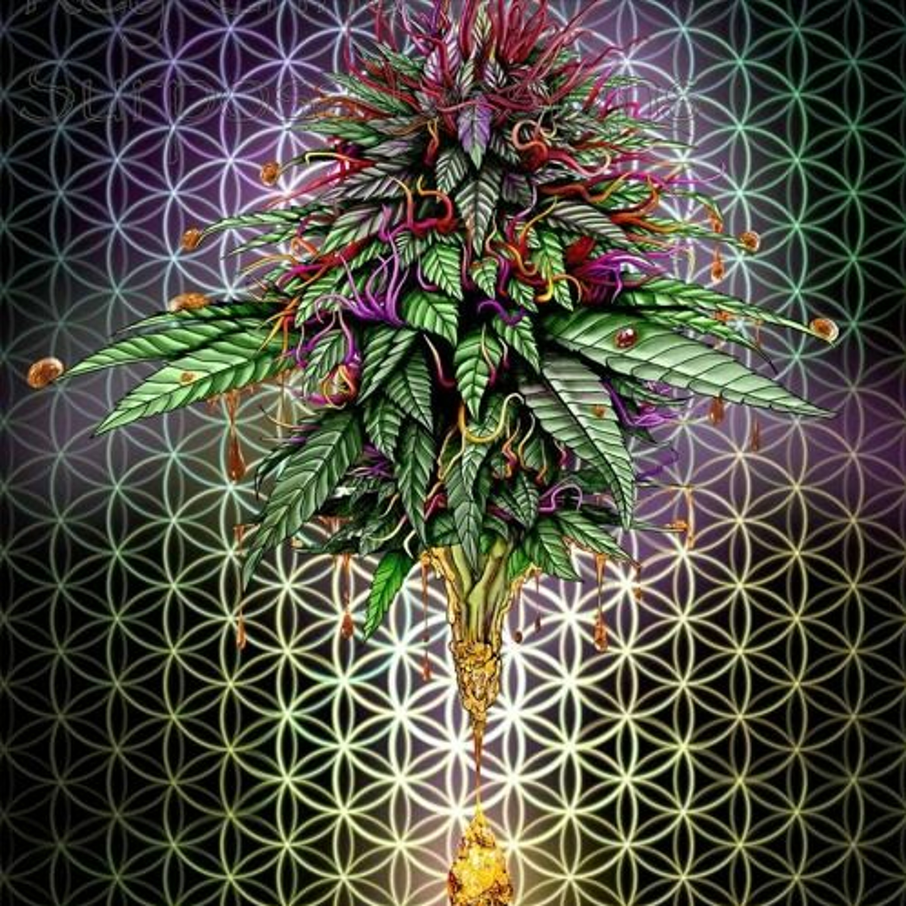 Stonerteer Productions and 11::11 Productions