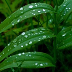 THE CIRCLE IN THE SQUARE no. 8, “On Complementarity”