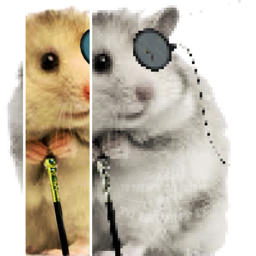 Dr. WiseHamster