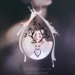 Otherside - Buffer (Alin Dimitriu Remix)