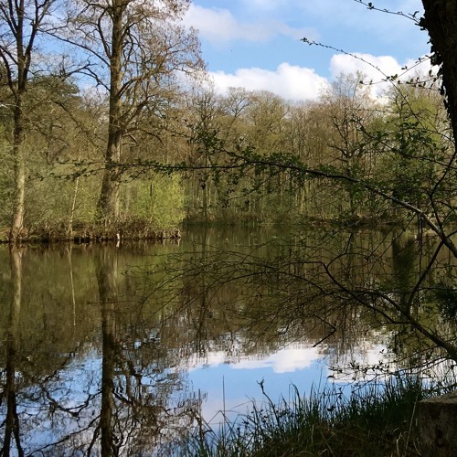 A l'envers de La Lisière