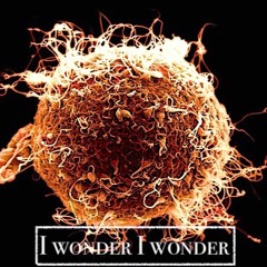 I Wonder I Wonder- Alan Watts Vs Alef (luna)