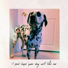 I just hope your dog will like me