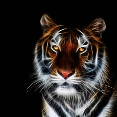 Matt Bogard - Deep Garage House Vol 4 - May 2018