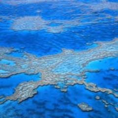 Environments I Piano & Orch (e