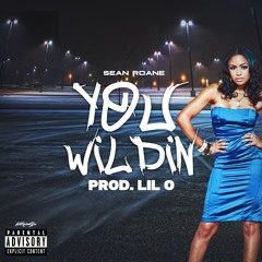 You Wildin' (prod. by Lil O)