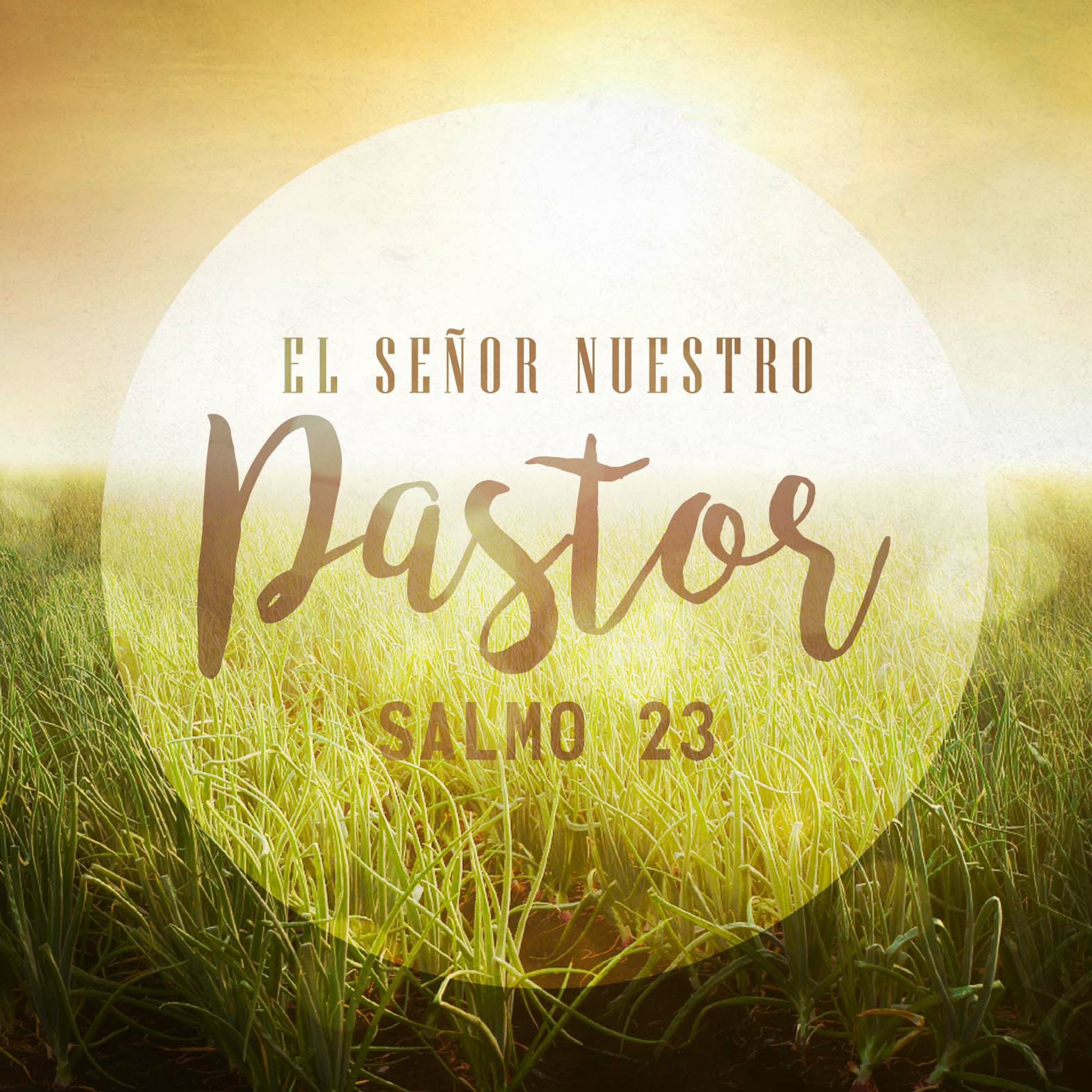 El Señor Nuestro Pastor (Salmo 23) episode artwork