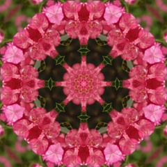 Yoga with Ananda-Ji  Demo (music/yoga class Friday May 11 8pm Atlanta, GA - Sacred Chill West)