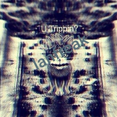 Lanfreak - The Tribe Train ¿2512¿