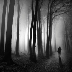 Schicksal - Dark(Netflix  Dark Series Ending Soundtrack Techno Edit)