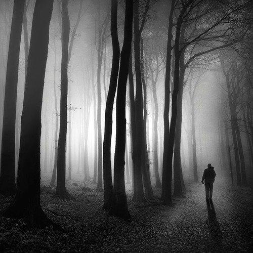 Schicksal - Dark(Netflix  Dark Series Ending Soundtrack Techno Edit)