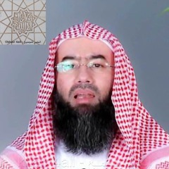 السيرة النبوية 3 الميلاد النبوي
