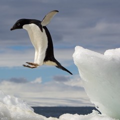 JUMP