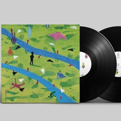 SCRTC005 C.1 Shampoo Douglas - Pesto Life