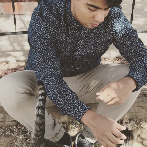 Stream Think Before You Drink The Voidz Cover By Guardians And