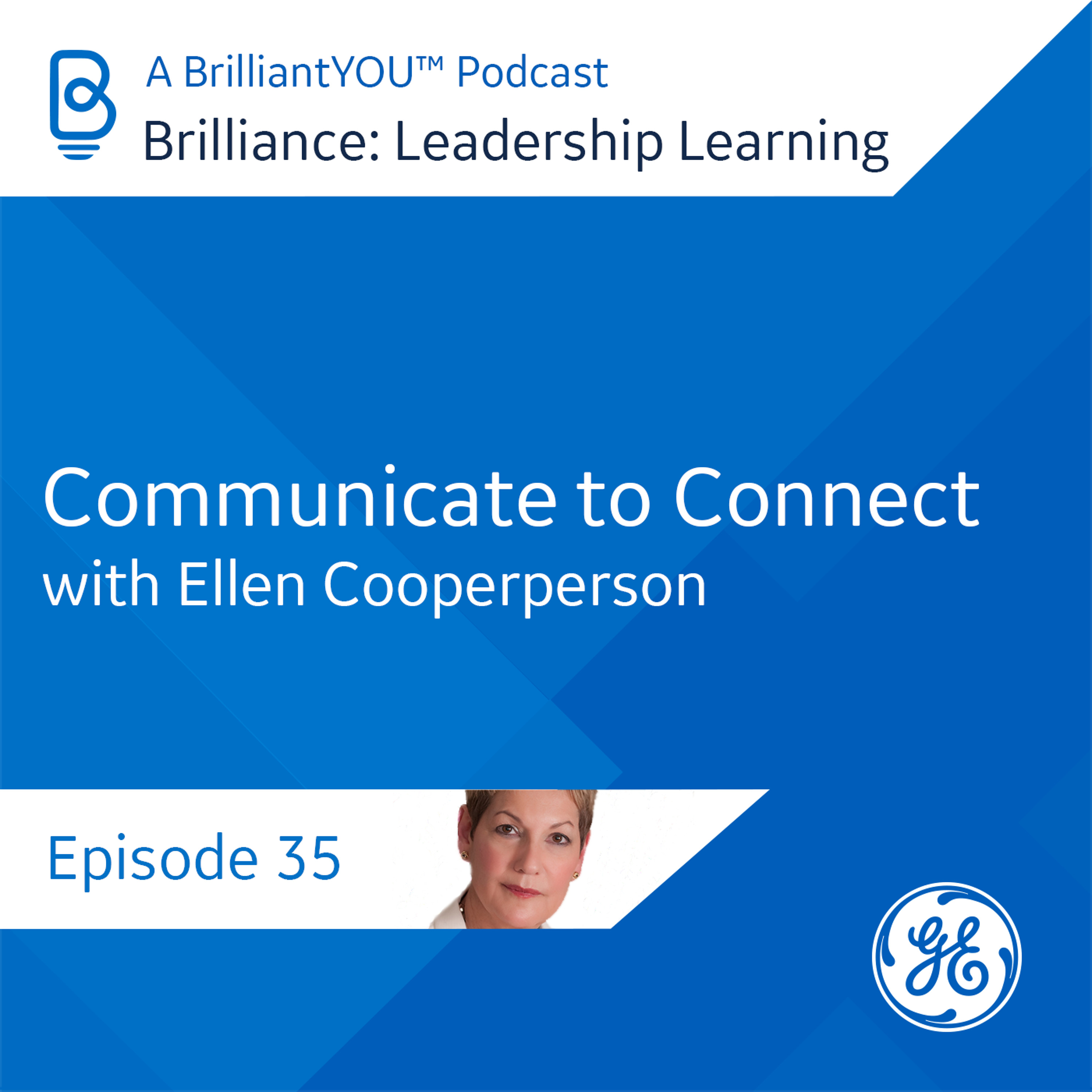 Brilliance: Leadership Learning