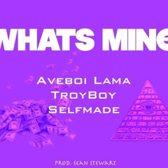 Whats Mine- Aveboi Llama