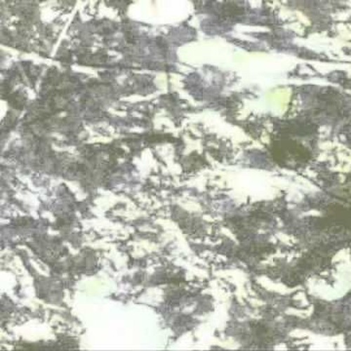 Kagamine Rin - Honey Eater