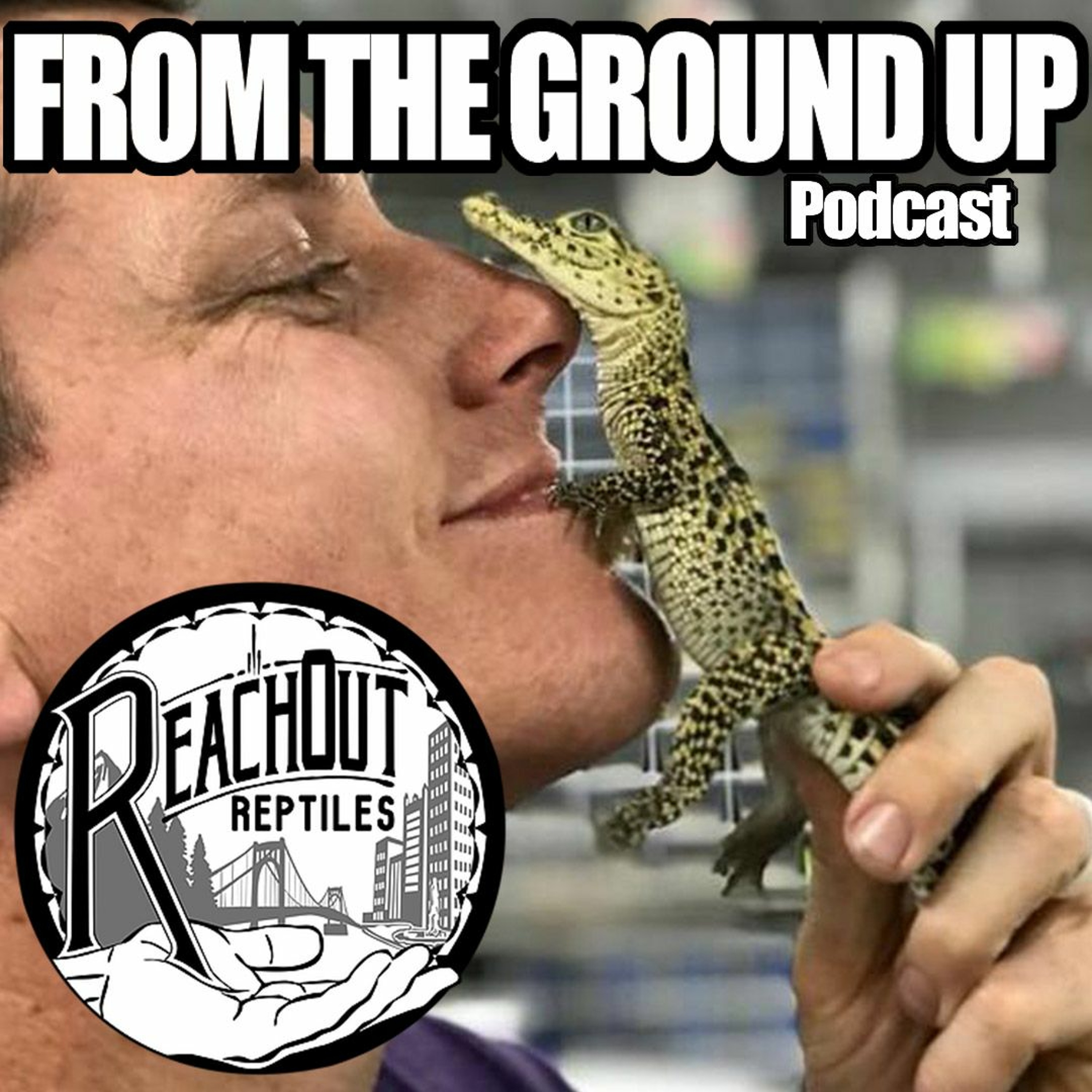 Modern Medusa Reptile Podcast - Where we talk everything cold-blooded (Snake Podcast)