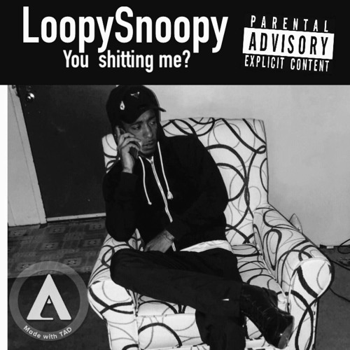 LoopySnoopy - You Shittin me ?