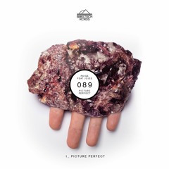 Paige - Picture Perfect Feat. Jojee (BMKLTSCH089) [OUT NOW]