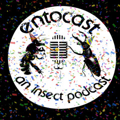 Happy Birthday Entocast!