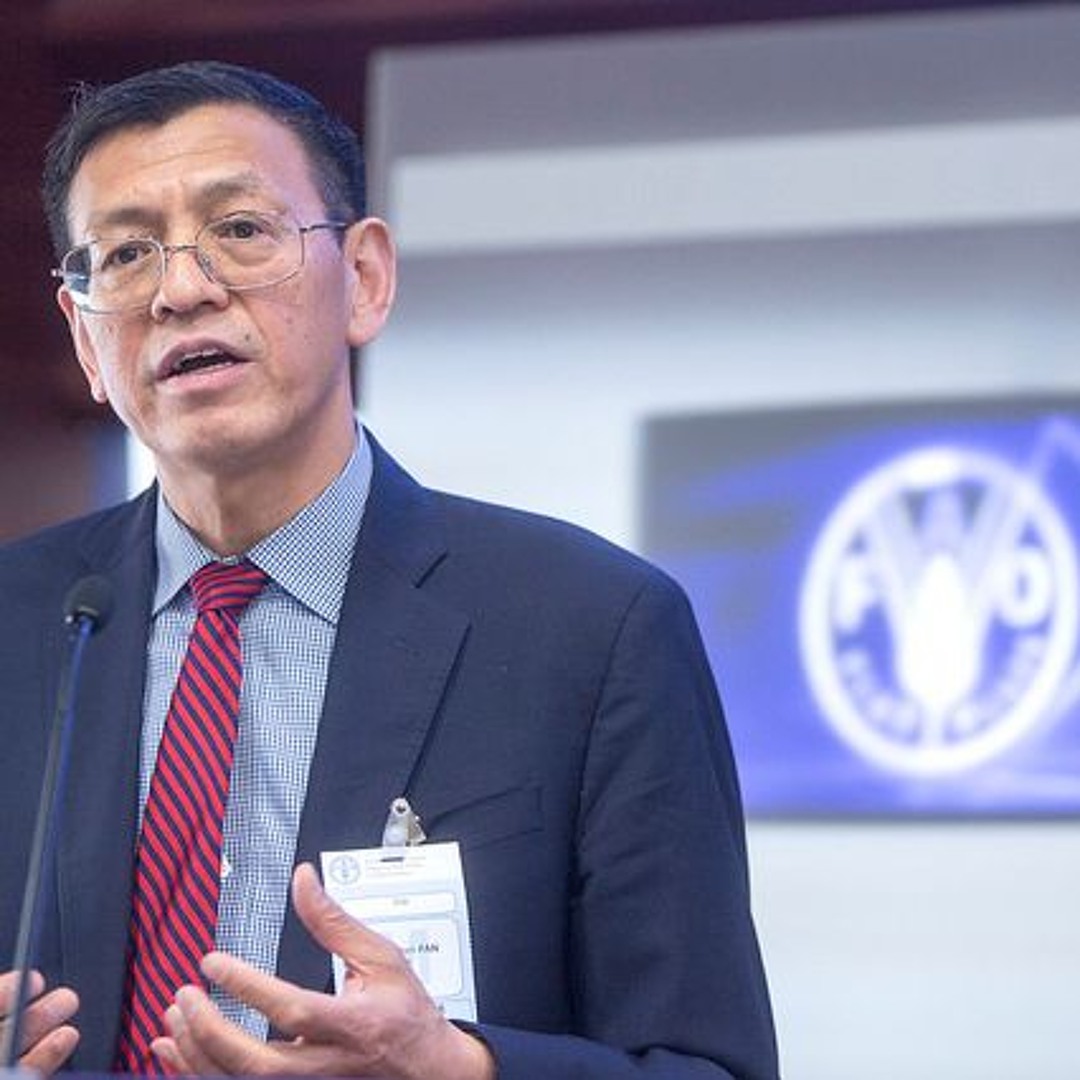 Stream Launch of the FAO-IFPRI Global Food Policy Report 2018-IFPRI ...