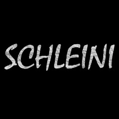 Schleini - Ne ganz bescheidene Frage
