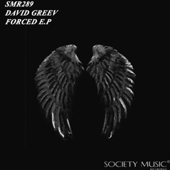 David Greev - 1993 (Original Mix) WAV