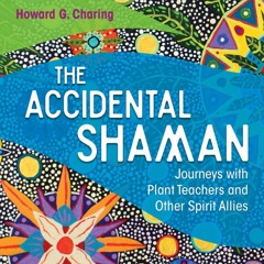 Howard G Charing - Interviewed about his new book 'The Accidental Shaman' on the Donna Seebo Show